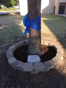 memorial tree 2